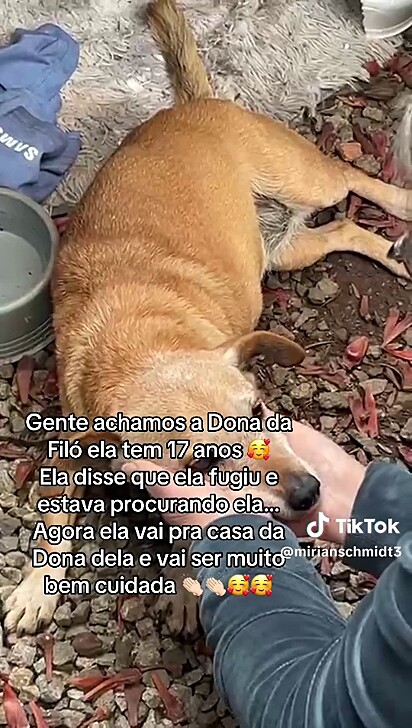 Infelizmente Filó virou uma estrelinha.
