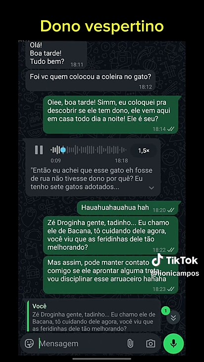 O felino visitava outras casas.