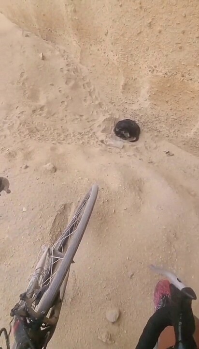 Ela foi encontrada no meio da areia.