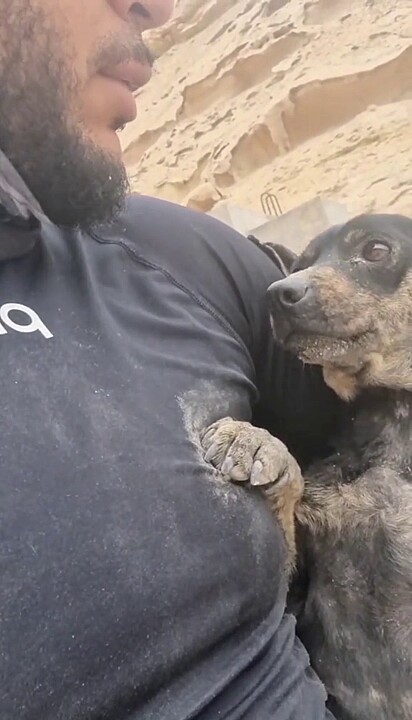 A cachorrinha recebeu o nome de Karol G.
