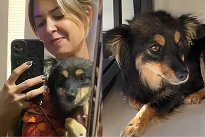 Brasileira acolhe cachorrinha de rua na Turquia e fica triste ao saber o que acontecia com ela.