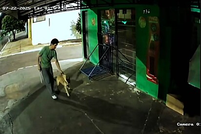 O dono da loja defendeu o cãozinho.