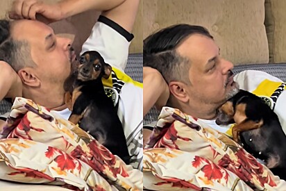 Cuida do seu homem senão vou roubar: Cachorrinha pinscher lança seu charme para dono e vídeo conquista milhões de pessoas online