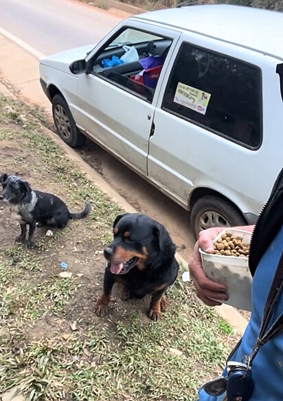Jefferson cuida com muito amor os cães em situação de vulnerabilidade.