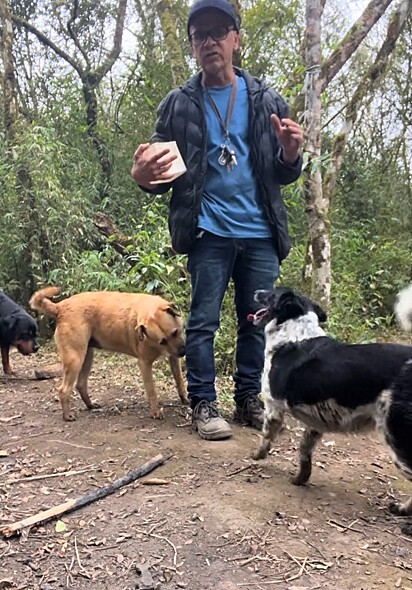 Jefferson não poupa esforços para cuidar dos cães.