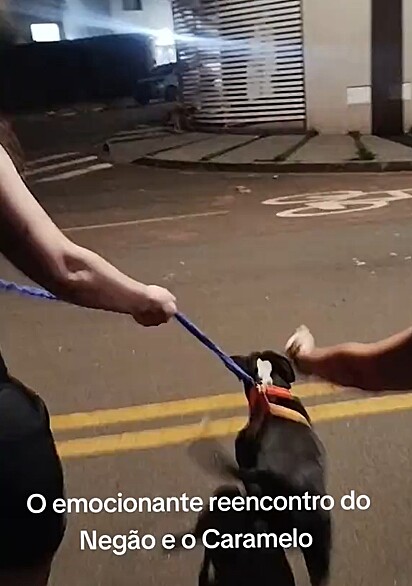 Negão estava desaparecido a mais de uma semana.