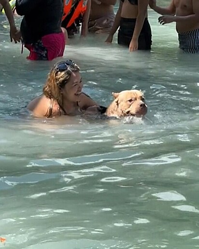 Rambo feliz nadando na cachoeira.