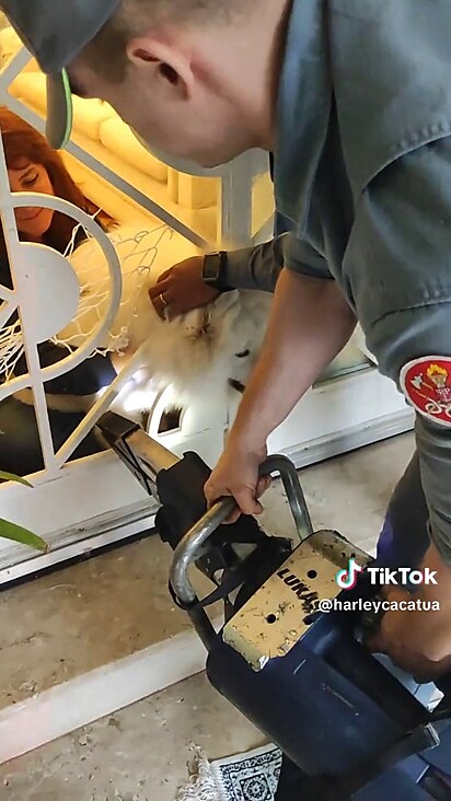 Apesar do susto eles conseguiram libertar a cachorrinha.