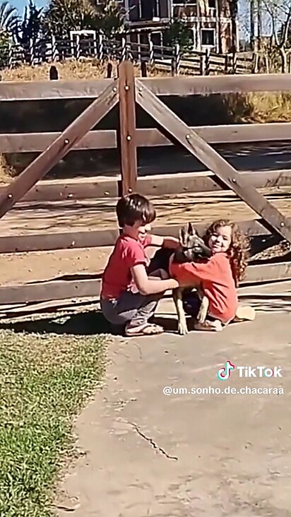 Assim que passou pelo portão ela se tornou parte da família.