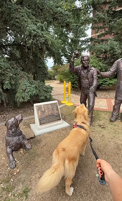 Leo, um golden retriever, encontrou uma estátua prestes a jogar uma bolinha.