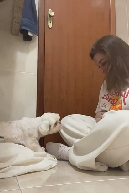 A cachorrinha tem muito medo de pessoas.