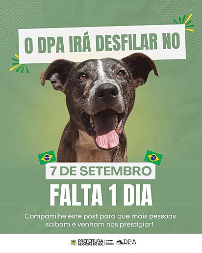 Mais de cinquenta cães participaram do desfile do dia sete de setembro.