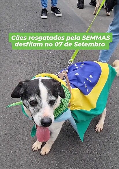 Adotar é um ato de amor.