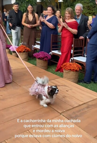 A missão da cachorrinha era entregar as alianças no altar.