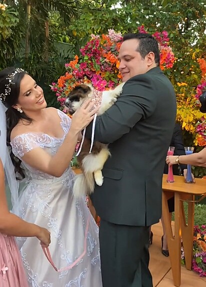 A cachorrinha ficou com ciúmes da noiva e ameaçou uma mordidinha.