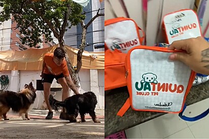Monitora mostra sua rotina em creche canina e o que seus alunos carregam na mochilinha