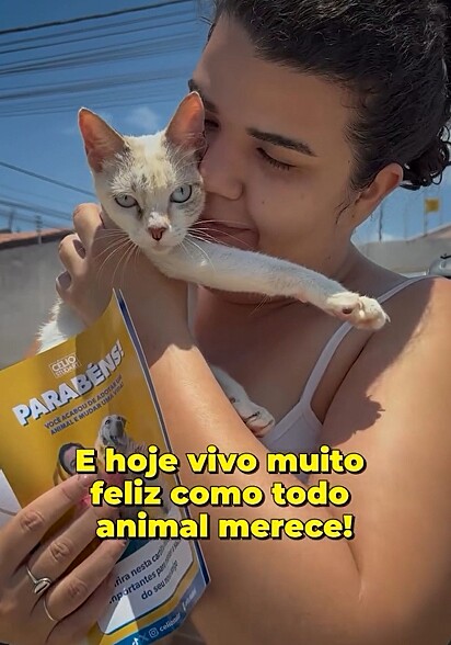 A gatinha foi adotada por uma família responsável e amorosa.