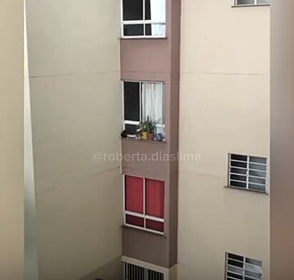 Os filhotes estavam pendurados no parapeito da janela do terceiro andar, amparados apenas por uma rede de proteção.