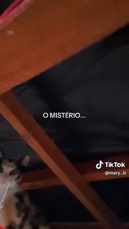 Ladrona escolheu viver perto de seus dois filhos.