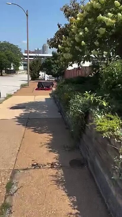 A voluntário não acreditou no que viu.