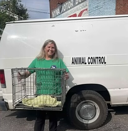 O filhote passou a noite em observação com um veterinário.