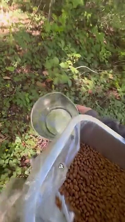 A protetora não desisiu até encontrá-lo.