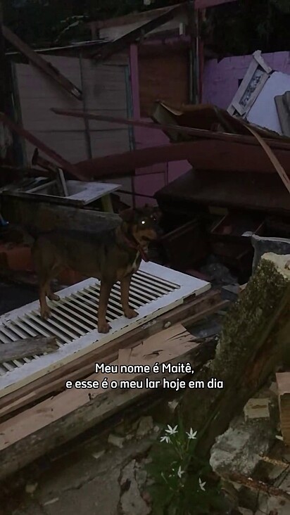 As duas foram encontradas em um local abandonado sem água e comida.