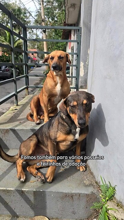 A mamãe de Maitê já ganhou um lar.