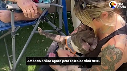 O cão se recuperou e ganhou um lar amoroso.