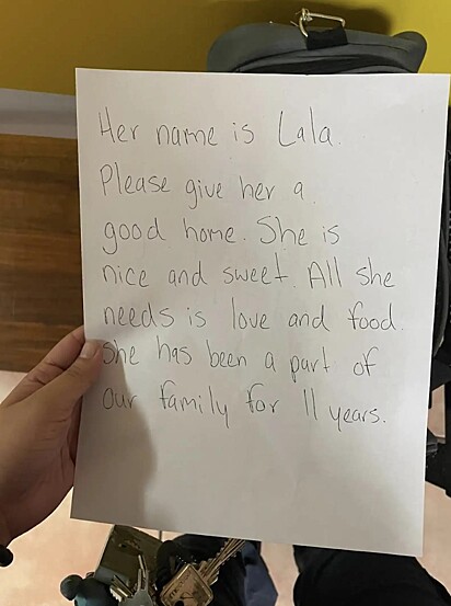 Quem escreveu o bilhete não imaginava que levaria tanto tempo para Lala ser adotada.