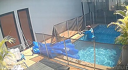 Vinicius realiza massagem cardíaca no cão até reanimá-lo.
