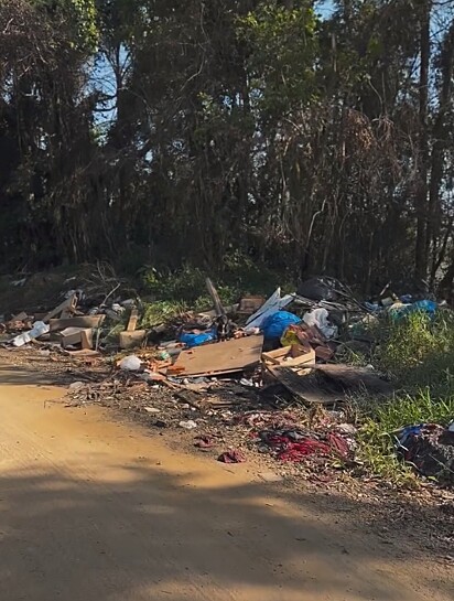 Uma cachorrinha estava completamente sozinha em uma estrada isolada.