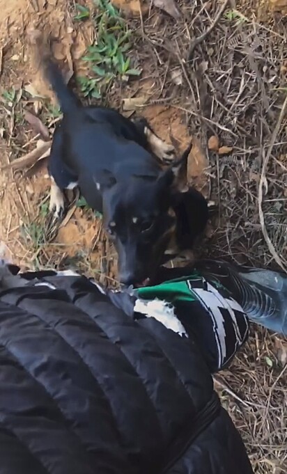 Ao notar a presença de um rosto amigável, ela começou a chorar de alegria.