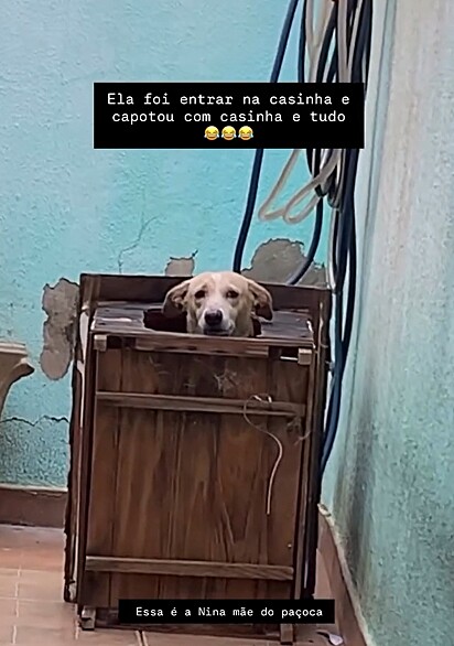 Nina parecia constrangida com a situação.