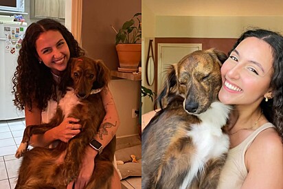 Bianca se encantou pelo cão à primeira vista.