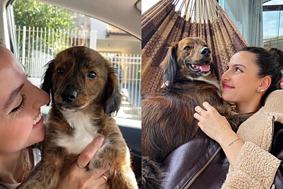 Encontro de almas: Jovem conta por que adotar cachorro Fred foi melhor escolha que ela podia ter feito na vida.