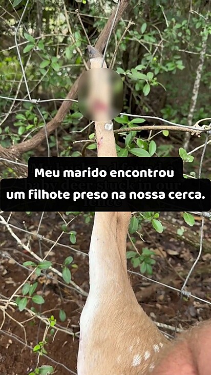 A autora do vídeo e o marido não mediram esforços para ajudá-lo.