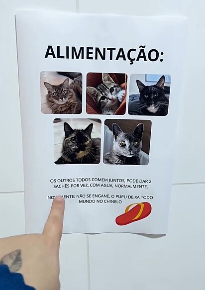 Jéssica deixou todas as instruções necessárias para que a babá cuidasse bem de seus gatinhos enquanto ela viajava.