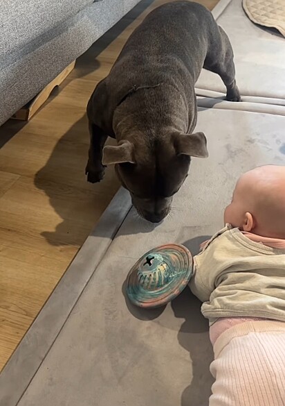 Tommy apresentando o brinquedo para a menininha.