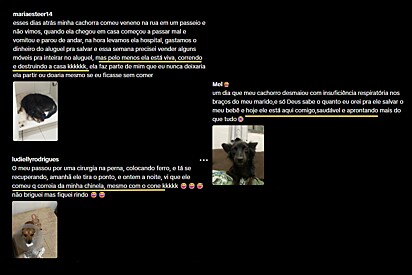 Alguns dos relatos nos comentários do vídeo.