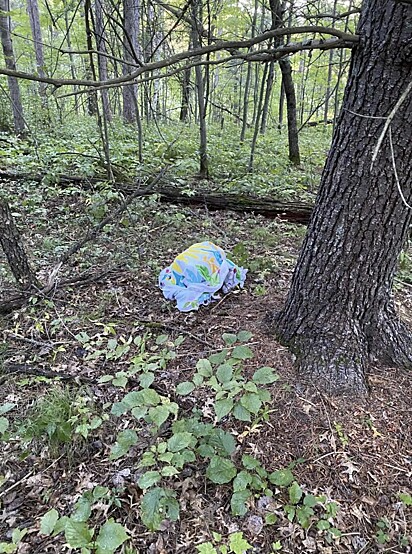 Enquanto caminhava pela floresta, Ted encontrou algo estranho.