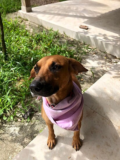 Juju foi abadonada há três anos.