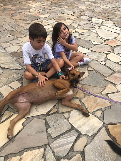Juju é muito amorosa mas infelizmente ninguém se interessou por ela.