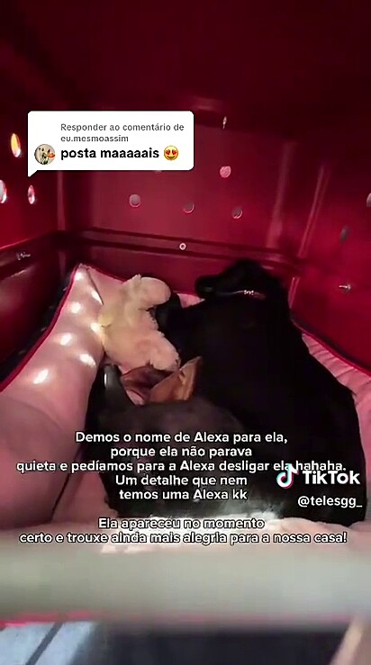 Ela foi bem recepcionado pelos novos papais.