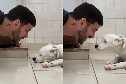 Falaram que cachorrinho surdo jamais saberia seu nome mas bastou um soprinho no nariz para mudar seu destino