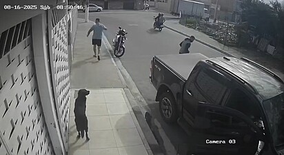 David Aires ficou apavorado com a acidente e procurou o cachorro para prestar socorro.