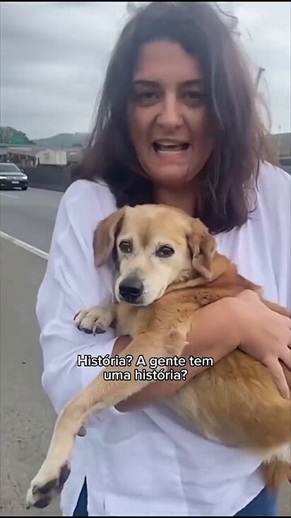 A caramelo não sabia o quanto sua vida iria mudar.