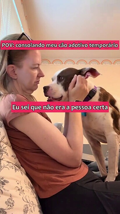 A protetora está tentando sensibilizar as pessoas pela internet.