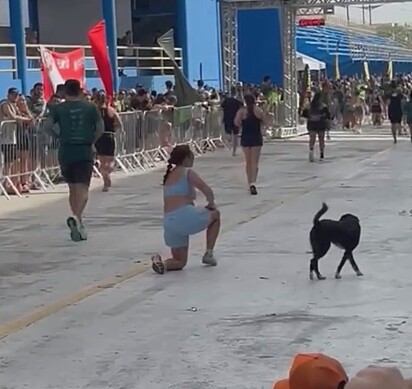 O cãozinho saindo de fininho após derrubar a atleta. 