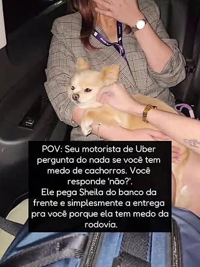 Sheila está acostumada com viagens mas não gosta de rodovia.